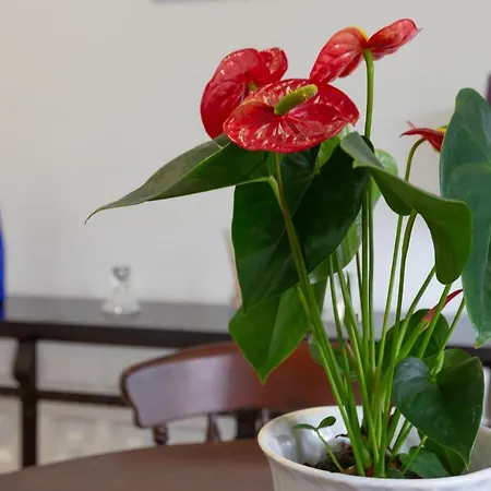 Vivienda En Calle La Luna Appartement Torremolinos